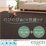 はっ水・防汚・防ダニ・抗菌機能付きラグ＆キッチンマット 【essen】 エッセン 190×190cm+60×210cm ダークブラウン