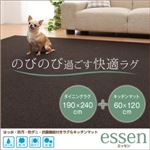はっ水・防汚・防ダニ・抗菌機能付きラグ＆キッチンマット 【essen】 エッセン 190×240cm+60×120cm ダークブラウン