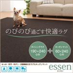 はっ水・防汚・防ダニ・抗菌機能付きラグ＆キッチンマット 【essen】 エッセン 190×240cm+60×240cm ダークブラウン