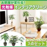 お部屋が変わる！光触媒インテリアグリーン3点セット【スタンダードタイプ】 ワンルーム
