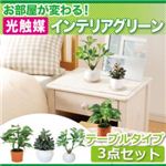 お部屋が変わる！光触媒インテリアグリーン3点セット【テーブルタイプ】 オフィス