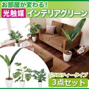 お部屋が変わる！光触媒インテリアグリーン3点セット【バラエティータイプ】 オフィス