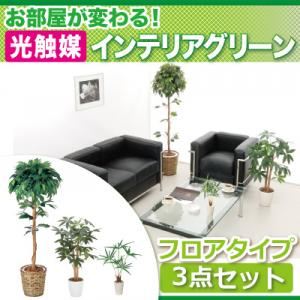 お部屋が変わる！光触媒インテリアグリーン3点セット【フロアタイプ】 モダン