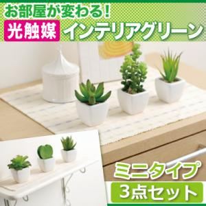 お部屋が変わる！光触媒インテリアグリーン3点セット【ミニタイプ】 プチハート
