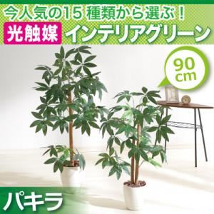 今人気の15種類から選ぶ光触媒インテリアグリーン【パキラ90】