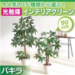 今人気の15種類から選ぶ光触媒インテリアグリーン【パキラ90】