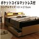 収納ベッド シングル【All-one】【ポケットコイルマットレス付き】 ブラウン(All-one warm) 照明・棚付き収納ベッド【All-one】オールワン