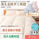 敷布団7点セット ダブル【フルリオ】ブルー 東洋紡素材「アルファイン(R)」&「コンフォロフト(R)」使用 洗える防ダニ布団Flulio【フルリオ】7点セット 洗える掛け布団 洗える敷布団タイプ