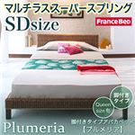 脚付きタイプアバカベッド【Plumeria】プルメリア【マルチラススーパースプリングマットレス付き】セミダブル