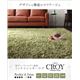 ラグマット 200×250cm【CROY】アイボリー 防ダニ・アレルゲン抑制ミックスシャギーラグ【CROY】クロイ - 縮小画像2