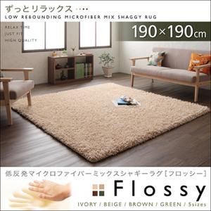 低反発マイクロファイバーシャギーラグ【Flossy】フロッシー 190×190cm ベージュ - 拡大画像