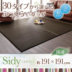 30タイプから選べる国産ふっくらい草ラグ【Sidy】シディ 191×191cm パープル