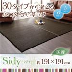 30タイプから選べる国産ふっくらい草ラグ【Sidy】シディ 191×191cm パープル