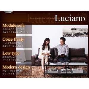 ソファー 1人掛け【Luciano】ダークブラウン モジュールローソファ【Luciano】ルチアーノ 左肘付き 商品写真3