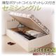 収納ベッド レギュラー セミシングル【横開き】【Freeda】【薄型ポケットコイルマットレス付】 ダークブラウン 新開閉タイプが選べるガス圧式跳ね上げ大容量収納ベッド【Freeda】フリーダ