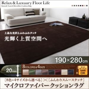 ラグマット 190×280サイズ サイレントブラック 8色×4サイズから選べる ふんわりスムースタッチ マイクロファイバークッションラグの詳細を見る ラグマット 190×280サイズ サイレントブラック 8色×4サイズから選べる ふんわりスムースタッチ マイクロファイバークッションラグの詳細を見る