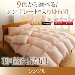 【単品】掛け布団 シングル モカブラウン 9色から選べる!シンサレート入り掛布団 - 拡大画像