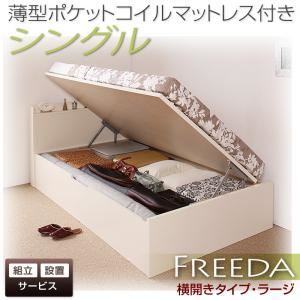 【組立設置費込】 収納ベッド ラージ シングル【横開き】【Freeda】【薄型ポケットコイルマットレス付】 ダークブラウン 新 開閉タイプが選べるガス圧式跳ね上げ大容量収納ベッド【Freeda】フリーダの詳細を見る 【組立設置費込】 収納ベッド ラージ シングル【横開き】【Freeda】【薄型ポケットコイルマットレス付】 ダークブラウン 新 開閉タイプが選べるガス圧式跳ね上げ大容量収納ベッド【Freeda】フリーダの詳細を見る