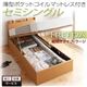 【組立設置費込】 収納ベッド ラージ セミシングル【縦開き】【Freeda】【薄型ポケットコイルマットレス付】 ナチュラル 新 開閉タイプが選べるガス圧式跳ね上げ大容量収納ベッド【Freeda】フリーダ