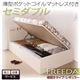 【組立設置費込】 収納ベッド レギュラー セミダブル【横開き】【Freeda】【薄型ポケットコイルマットレス付】 ナチュラル 新 開閉タイプが選べるガス圧式跳ね上げ大容量収納ベッド【Freeda】フリーダ