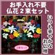 お手入れ不要仏花2束セット - 縮小画像1
