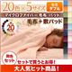 毛布・敷パッドセット セミダブル モカブラウン 20色から選べるマイクロファイバー毛布・パッド 毛布&敷パッドセット