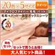 毛布・ボックスシーツセット クイーン ペールグリーン 20色から選べるマイクロファイバー毛布・パッド 毛布&パッド一体型ボックスシーツセット