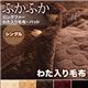 【単品】毛布 シングル アイボリー 5色から選べるふかふかロングファー 毛布