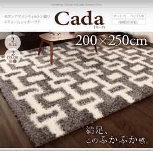 ラグマット 200×250cm【Cada】ベージュ モダンデザインウィルトン織りボリュームシャギーラグ【Cada】カーダ - 拡大画像