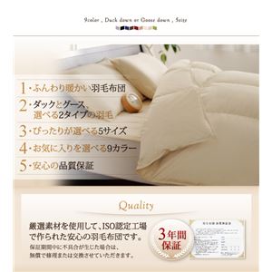 【単品】掛け布団 キング さくら 9色から選べる!羽毛布団 グースタイプ 【単品】掛け布団 キング さくら 9色から選べる!羽毛布団 グースタイプ