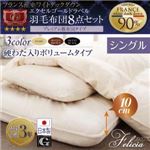 日本製防カビ消臭 フランス産ホワイトダックダウンエクセルゴールドラベル羽毛布団8点セットFelicia【フェリシア】硬綿入りボリューム シングル サイレントブラック