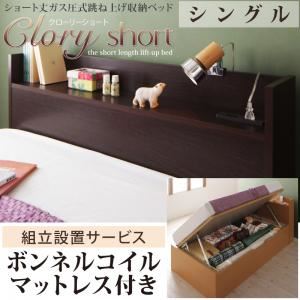 【組立設置費込】 収納ベッド シングル【横開き】【Clory Short】【ボンネルコイルマットレス付】 ダークブラウン ラージ ショート丈ガス圧式跳ね上げ収納ベッド【Clory Short】クローリーショートの詳細を見る
