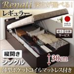 【組立設置】収納ベッド シングル・レギュラー【縦開き】【Renati】【薄型ポケットコイルマットレス付】ダークブラウン 国産跳ね上げ収納ベッド【Renati】レナーチ