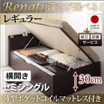 【組立設置】収納ベッド セミシングル・レギュラー【横開き】【Renati】【薄型ポケットコイルマットレス付】ダークブラウン 国産跳ね上げ収納ベッド【Renati】レナーチ