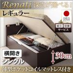 【組立設置】収納ベッド シングル・レギュラー【横開き】【Renati】【薄型ポケットコイルマットレス付】ダークブラウン 国産跳ね上げ収納ベッド【Renati】レナーチ