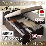 【組立設置】収納ベッド セミシングル・レギュラー【縦開き】【Renati】【オリジナルポケットコイルマットレス付】ダークブラウン 国産跳ね上げ収納ベッド【Renati】レナーチ