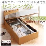 【組立設置】収納ベッド セミシングル・グランド【縦開き】【Freeda】【薄型ポケットコイルマットレス付】ダークブラウン 国産跳ね上げ収納ベッド【Freeda】フリーダ