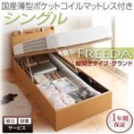 【組立設置】収納ベッド シングル・グランド【縦開き】【Freeda】【国産薄型ポケットコイルマットレス付】ダークブラウン 国産跳ね上げ収納ベッド【Freeda】フリーダ