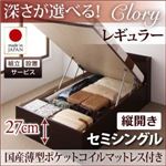 【組立設置】収納ベッド セミシングル・レギュラー【縦開き】【Clory】【国産薄型ポケットコイルマットレス付】ホワイト 国産跳ね上げ収納ベッド【Clory】クローリー