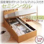 収納ベッド セミシングル・ラージ【縦開き】【Freeda】【国産薄型ポケットコイルマットレス付】ダークブラウン 国産跳ね上げ収納ベッド【Freeda】フリーダ