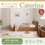 収納ベッド セミシングル【Caterina】【薄型・抗菌国産ポケットコイルマットレス付き】フレームカラー：ウォルナットブラウン カバーカラー：さくら ショート丈 棚・コンセント付き収納ベッド【Caterina】カテリーナ