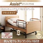 電動リクライニングベッド フラットタイプ【Assist+】【低反発ウレタンマットレス付】ブラウン モダンデザイン・昇降付き電動ベッド【Assist+】アシストプラス