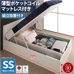 【組立設置費込】収納ベッド レギュラー・セミシングル【Mulante】【薄型ポケットコイルマットレス付き】フレームカラー：ダークブラウン コンセント付き_フラットヘッドボード_跳ね上げベッド【Mulante】ムランテ