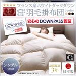 【単品】掛け布団 シングル アイボリー【DOWNPASS認証】フランス産ホワイトダックダウンエクセルゴールドラベル羽毛掛布団