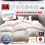 【単品】掛け布団 セミダブル アイボリー【DOWNPASS認証】フランス産ホワイトダックダウンエクセルゴールドラベル羽毛掛布団