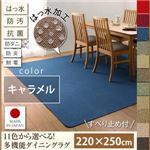 ダイニングラグ 220×250cm【familia】キャラメル 11色から選べる！はっ水・防汚・防ダニ・抗菌・防炎・制電機能付きダイニングラグ【familia】ファミリア