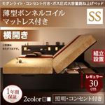 【組立設置費込】収納ベッド セミシングル・レギュラー【横開き】【薄型ボンネルコイルマットレス付き】フレームカラー：ダークブラウン モダンライト・コンセント_ガス圧式大容量跳ね上げベッド Lunalight ルナライト