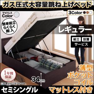 【組立設置費込】収納ベッド セミシングル・レギュラー【縦開き】【薄型ポケットコイルマットレス付き】フレームカラー：ホワイト マットレスカラー：アイボリー らくらく搬入_棚・コンセント_ガス圧式跳ね上げベッド Free-Gate フリーゲート