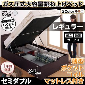 【組立設置費込】収納ベッド セミダブル・レギュラー【縦開き】【薄型ポケットコイルマットレス付き】フレームカラー：ダークブラウン マットレスカラー：アイボリー らくらく搬入_棚・コンセント_ガス圧式跳ね上げベッド Free-Gate フリーゲート