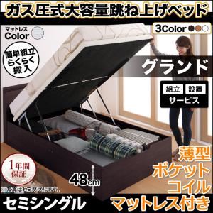 【組立設置費込】収納ベッド セミシングル・グランド【縦開き】【薄型ポケットコイルマットレス付き】フレームカラー：ダークブラウン マットレスカラー：アイボリー らくらく搬入_棚・コンセント_ガス圧式跳ね上げベッド Free-Gate フリーゲート